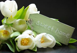 The Role of a Conveyancer: Why You Need a Professional for Your Property Transaction
